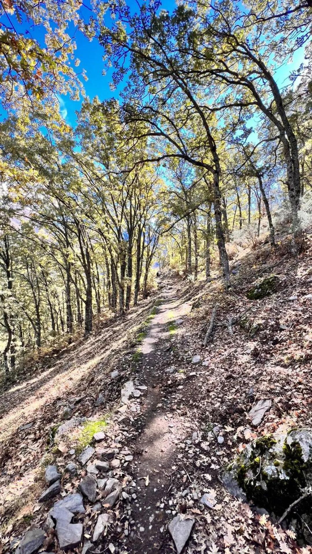 Casa A La Vera De La Sierra Guejar-Sierra Bagian luar foto